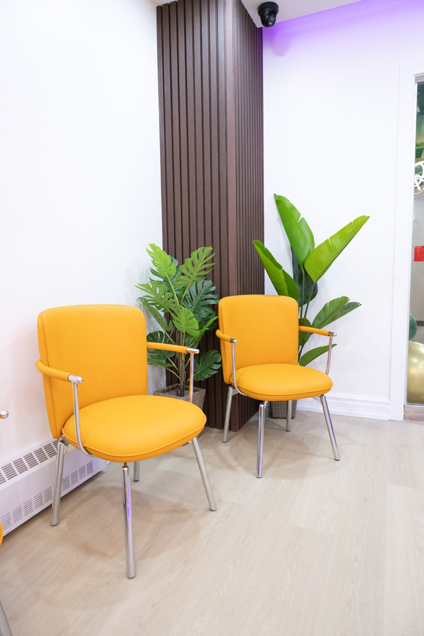 Family dentist in Whitby providing comprehensive dental care for patients of all ages